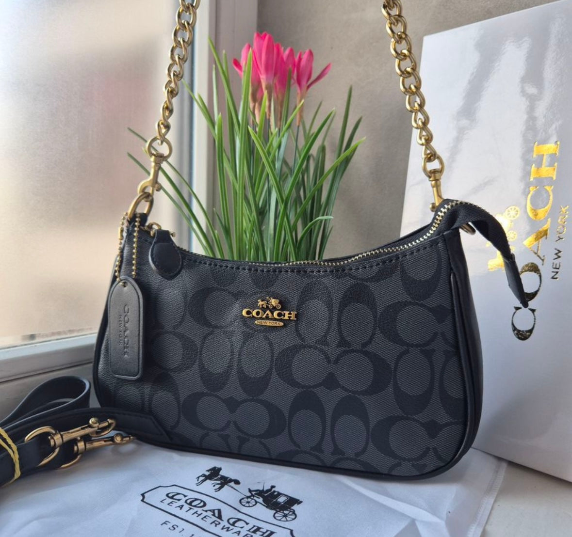 Teri Shoulder Bag — Classic Black Signature Canvas with Gold Accents